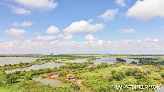 黄河口七夕漫游指南:与你赴一场湿地飞鸟与落日的浪漫之约