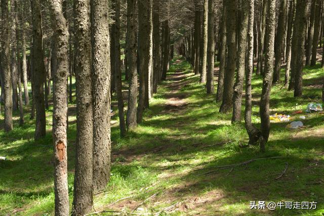 河北麻田岭（上）：绿野铺毡接云影、风轮伴路探山魂