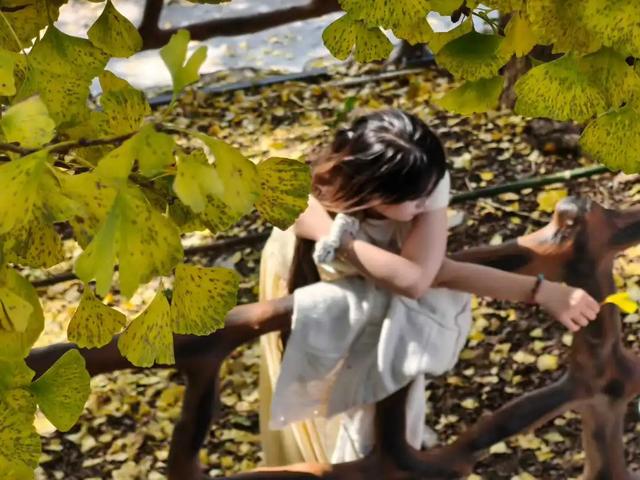 邵阳人藏不住的秋冬快乐!这些“金色浪漫”,@所有人来约!