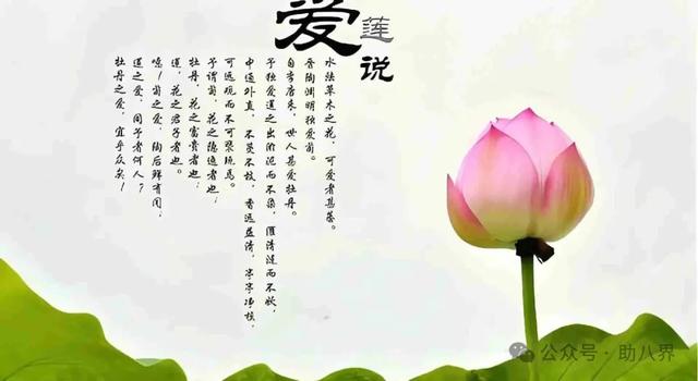 广东惠州十大打卡地（研学版）