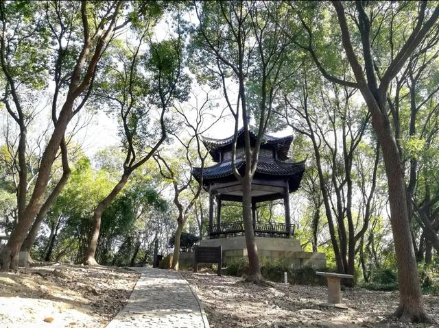 小昆山园心旅之约
