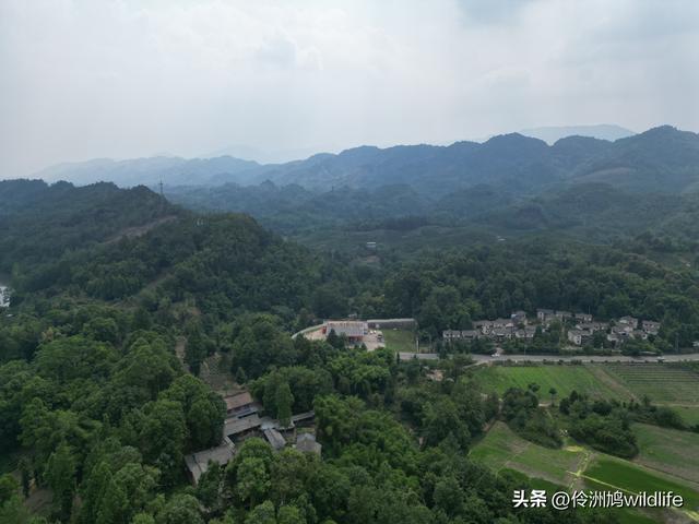 成都古镇（16）邛崃夹关古镇