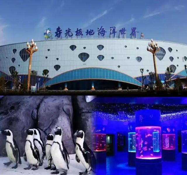 【潍坊】文旅融合——备“寿”欢迎 风“光”无限