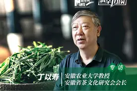 新华访谈丨人在草木间 品味徽茶味道图片