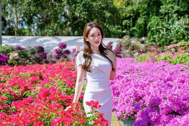 走！今天出发莲花山！拍“爆”20万㎡花海