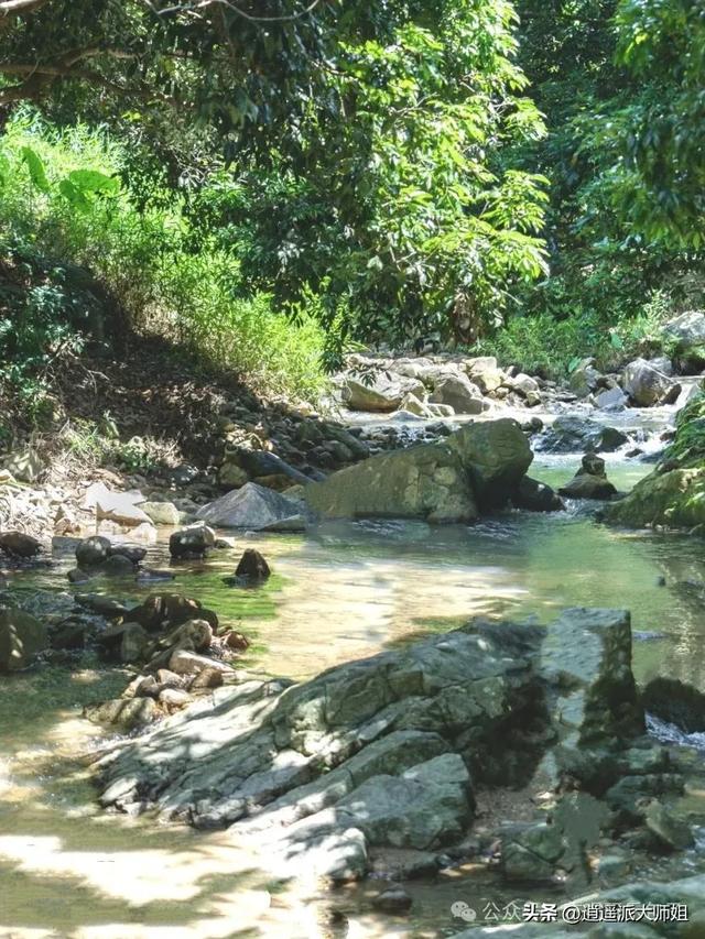 深圳市区不爬山的瀑布溯溪