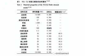 3 种不同后路内固定方式及其横连治疗胸腰段骨折的力学性能比较图片