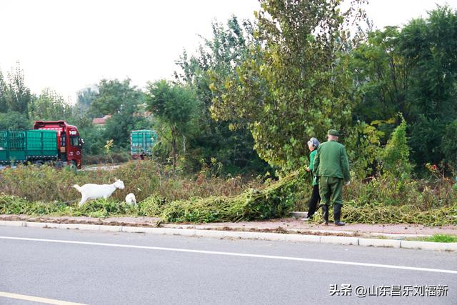 一河两路东端的烧烤场一带暮秋景色