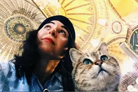 为什么穆斯林如此爱猫？伊斯坦布尔被誉为一座爱猫之城图片