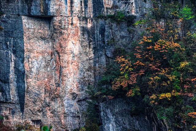 上坝彩林 彩林坝上