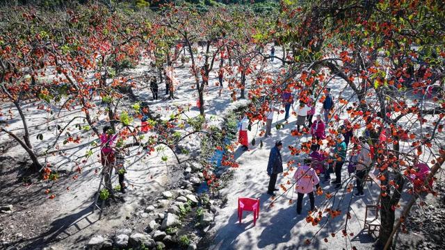 从化区江埔街入选省文旅特色镇入库级名单