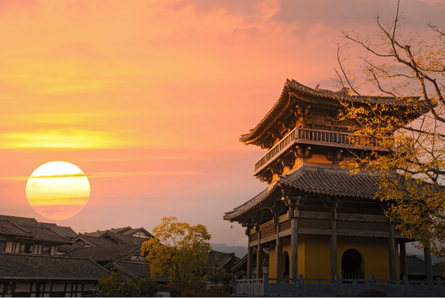 “植愈力”满分！金坛茅山秋冬植物大赏~