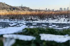 西湖结冰了！最低-10℃，暴冷将持续3天……图片