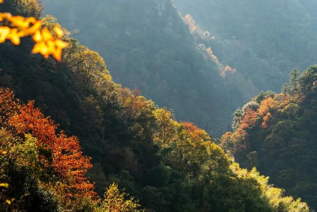 跟着赛事去旅行｜诗意秋浦，骑遇仙境