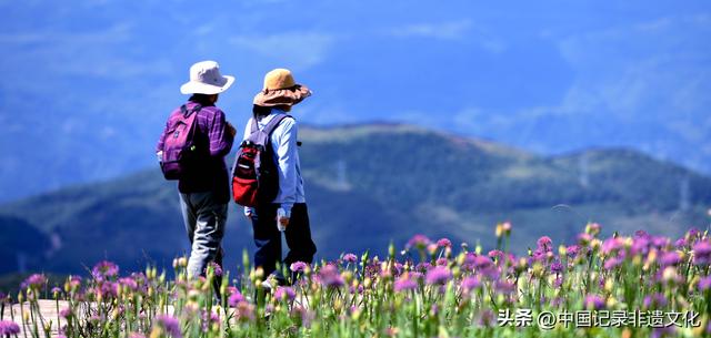 六盘水韭菜坪：踏秋避暑的梦幻仙境，野生韭菜花惊艳绽放！