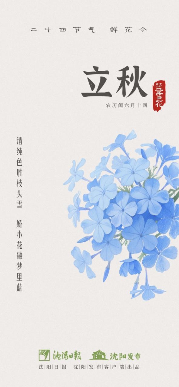 【一城花信·立秋】八月沈阳 花海藏不住
