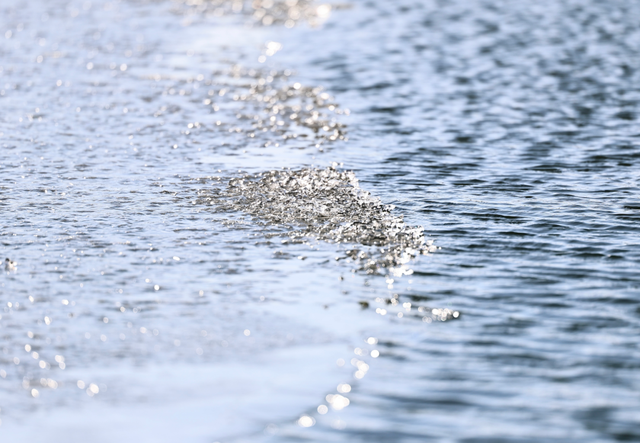 长春惊现“龙鳞”！绝非人工