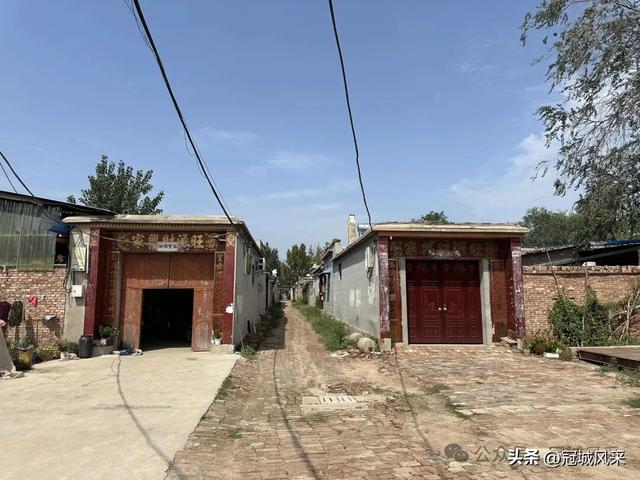 冠县乡韵·定远寨镇前杏园村