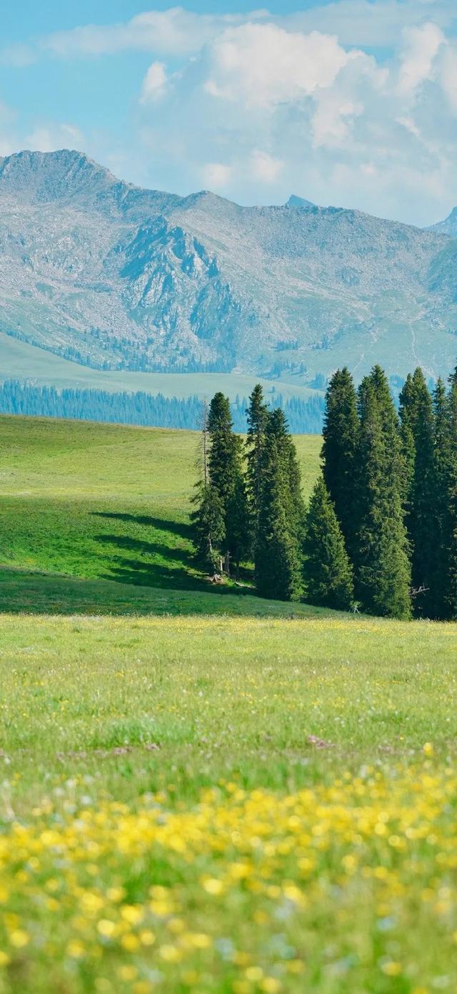 手机壁纸|风景