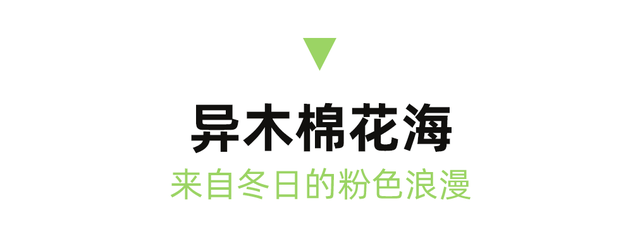 比西昌人少，比昆明更近！高铁直达20℃小众春城，赏花摘果泡温泉！3元草莓吃到撑~
