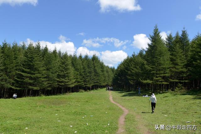 河北麻田岭（上）：绿野铺毡接云影、风轮伴路探山魂