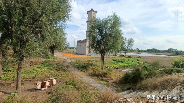 【行摄滨州】沾化古城现状