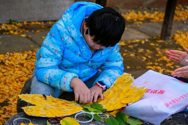 泰山普照寺，那最后的一树金黄