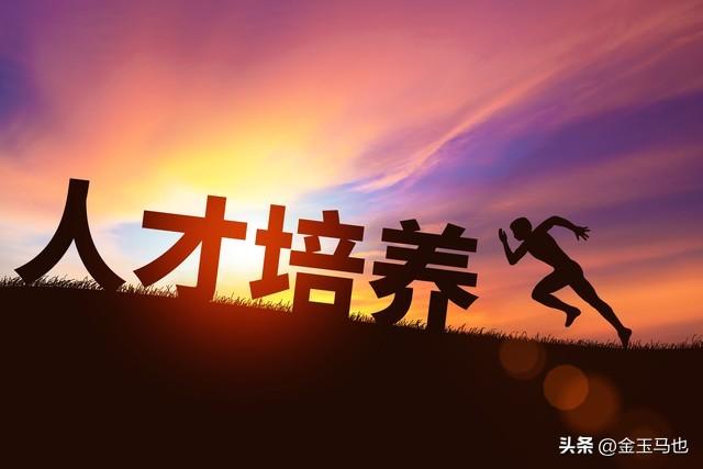 赋能未来：银行人才培养体系的优化与创新举措