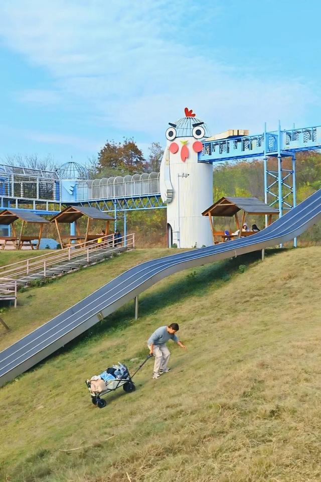 黄陂人的周末私藏：木兰玫瑰园里藏着最松弛的亲子时光！