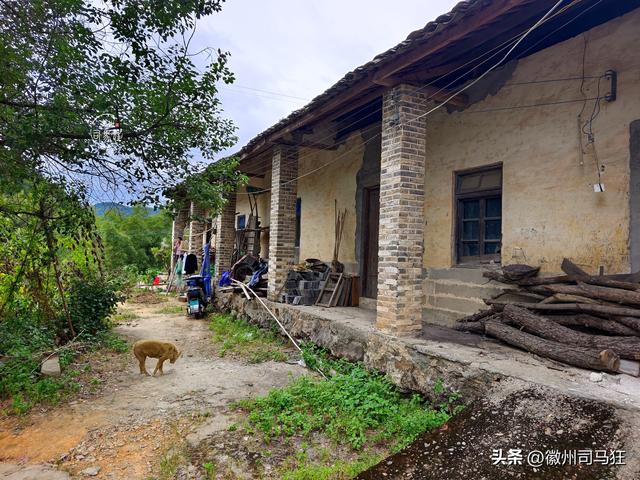 【行走徽州226】小梅口：新安江分流项目完成前，走走这个古村落