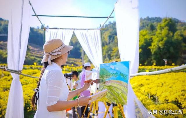 硒土菊黄，明月山的金色情书