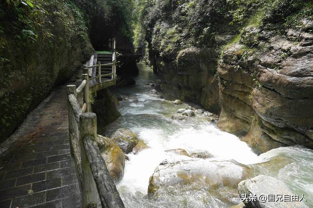 “渝黔生物基因库”黑山谷游记