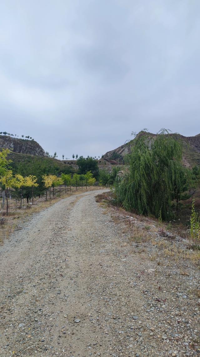 闲逛包头大青山南坡笸箩铺景点，去时一人，景区也一人，有点荒野