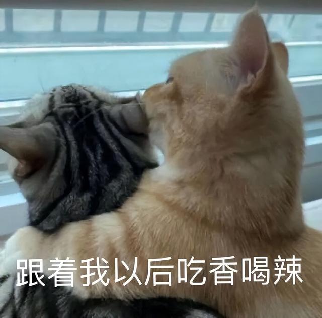 山姆的风波，阿里前高管只是背锅