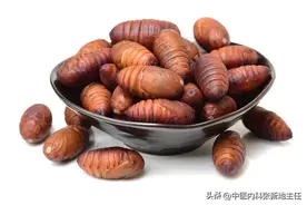 经常吃四个食物，让肾脏更强大！图片