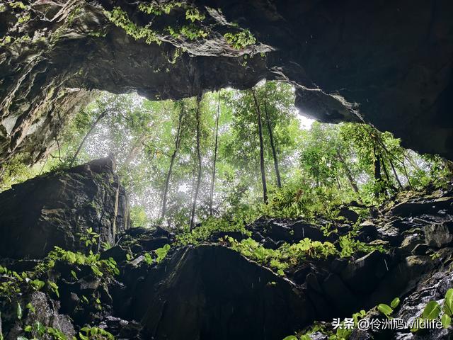 马来西亚(29)砂拉越州③姆鲁山清水洞·风洞