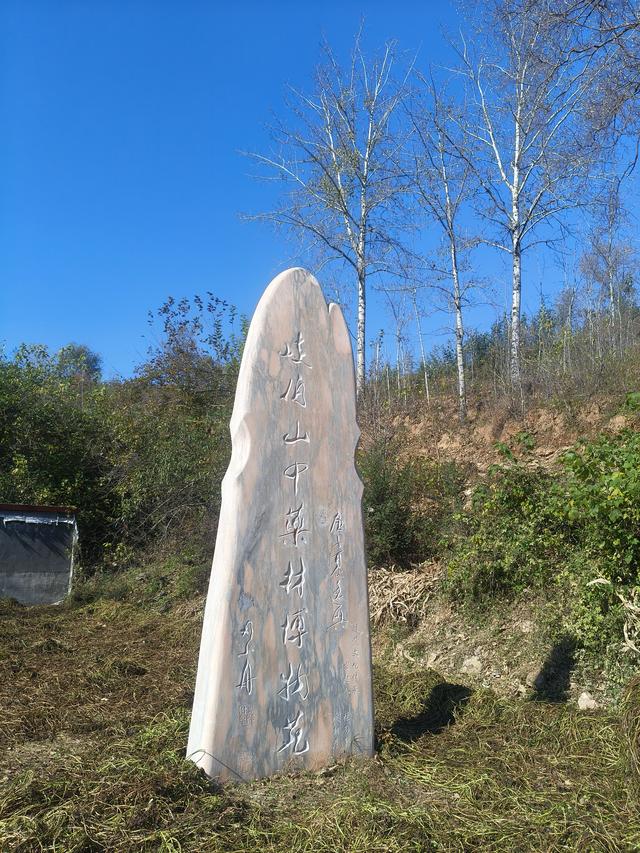 李清喜：岐伯泉游记