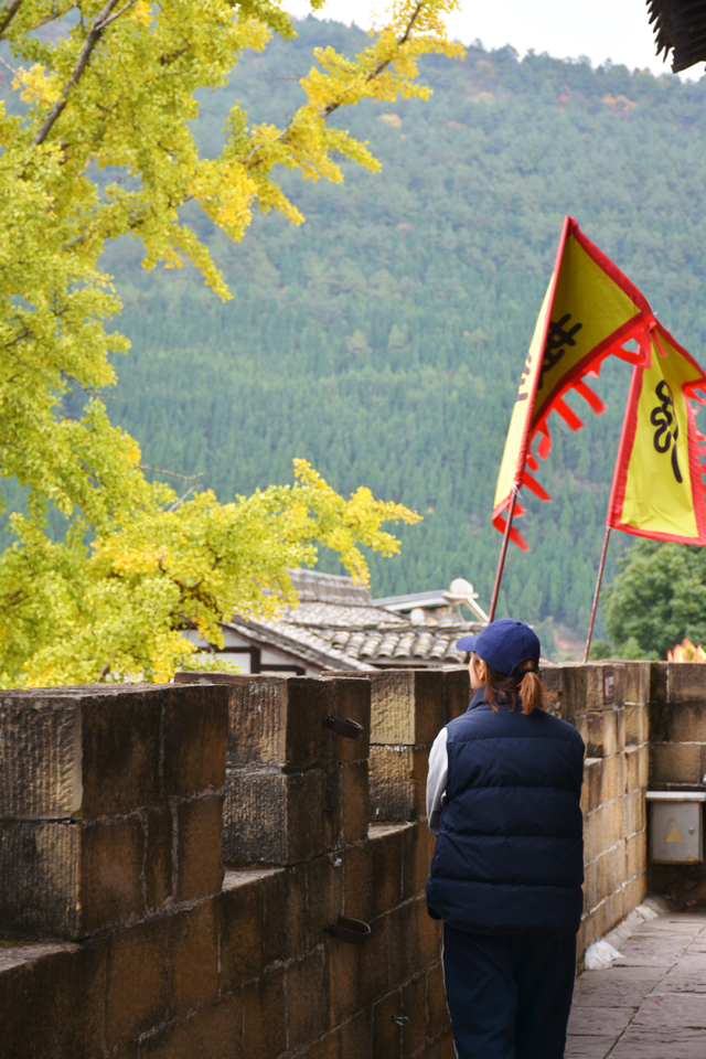 【美丽四川】一年一度朋友圈银杏比美时刻又来了！