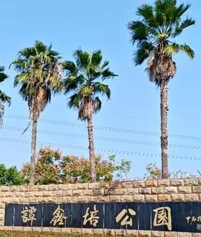 京剧宗师谭鑫培：中国电影第一人如何跨界？