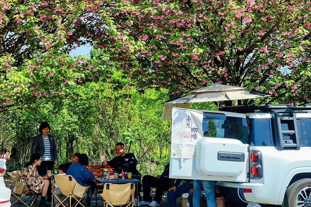 赏花、逛市集、喝咖啡!唐昌樱花季太好逛了插图6 赏花、逛市集、喝咖啡!唐昌樱花季太好逛了插图6
