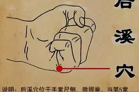 神奇的后溪穴，腰痛的止痛穴，中医说它是治疗腰背部疼痛的要穴图片