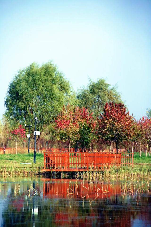 北疆文化 遇鉴赛罕 | 秋色漫卷赛罕:快将秋日打包,赶赴一场赛罕秋约!