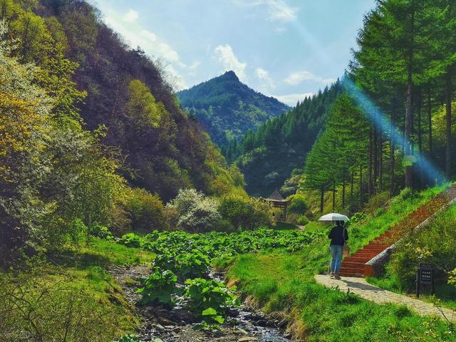 比中卫野性，比银川仙气，最神秘的地方之一，99％的人都错过了！