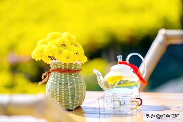 硒土菊黄，明月山的金色情书