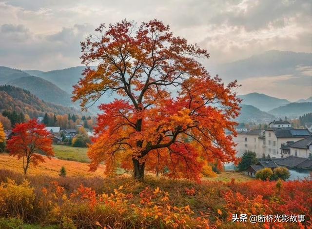 翻篇，是为了遇见更好的风景