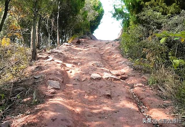 成都龙泉山爆红徒步路线，享受超级梭梭板，大人小孩都喜欢！