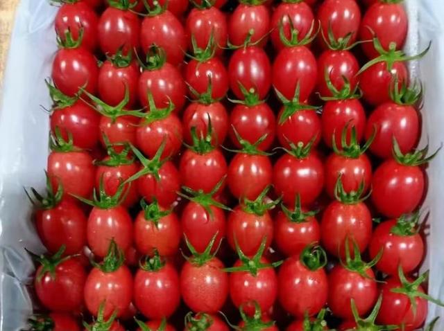 游在鹰潭｜这座城市秋日杀疯了！4重甜感暴击，谁来谁上头！「全球学子嘉游赣 奇绝鹰潭逍遥游」