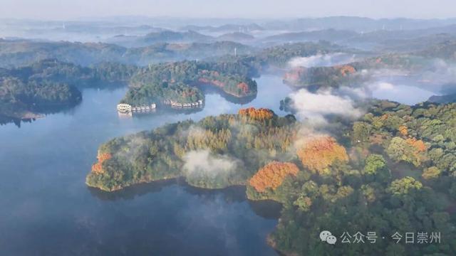 速来→崇州正上演初冬金色浪漫大片！