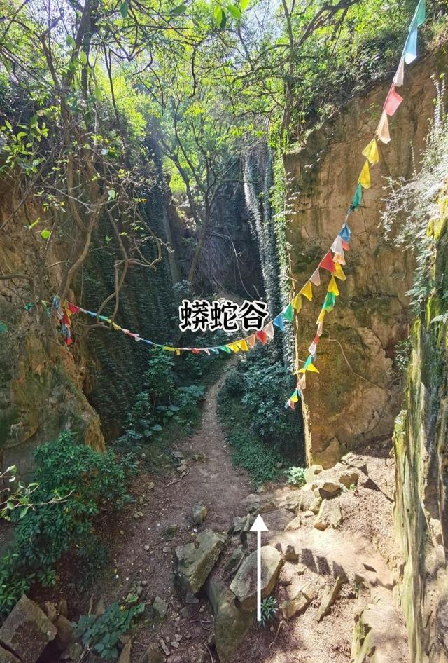 厦门东坪山蟒蛇壁，据说有人在此见过一大蟒蛇，大概名字由此而来