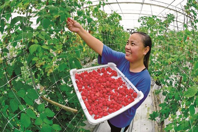 大美银川 美在品质丨绯红灼灼燃动湖城